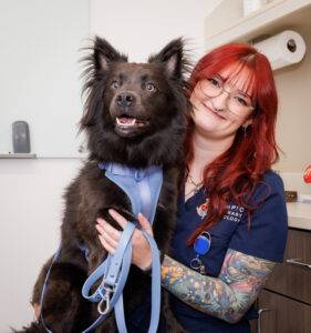 Olympic Veterinary Cardiology Staff Action Photos. Photographed by Ludeman Photographic (http://ludemanphotographic.com)