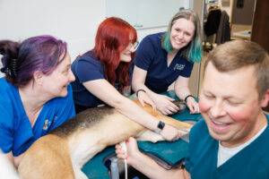 Olympic Veterinary Cardiology Staff Action Photos. Photographed by Ludeman Photographic (http://ludemanphotographic.com)