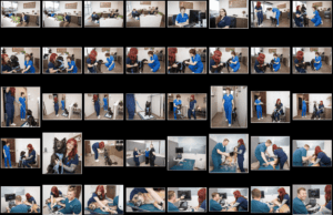 Branding Photography of Olympic Veterinary Cardiology photographed by Ludeman Photographic.